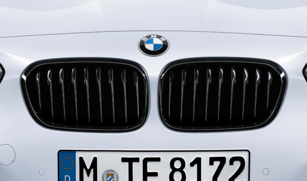 BMW M Performance Frontziergitter - 1er F20 F21 Facelift