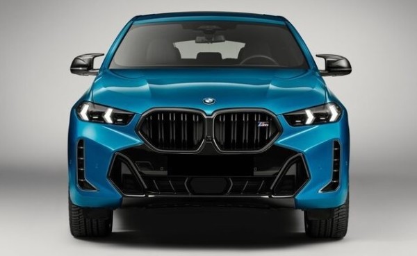 BMW M Performance Frontziergitter X6 G06