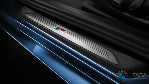 Einstiegsleisten für BMW F20 3-Türer günstig bestellen